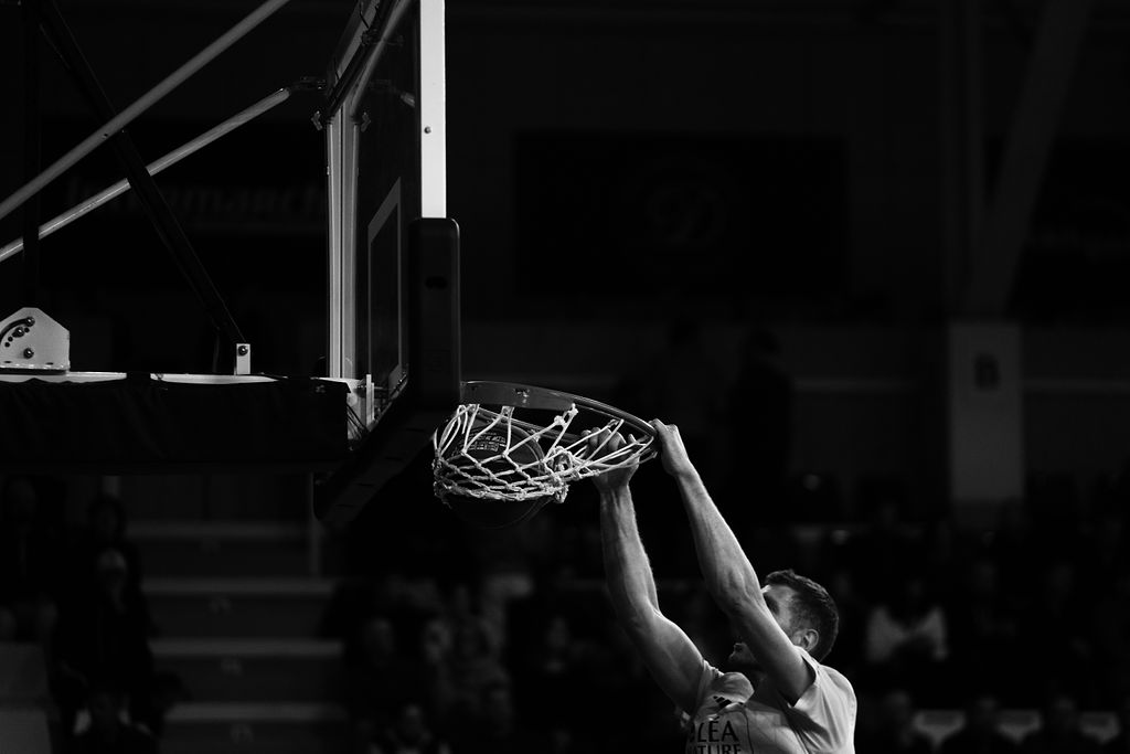 STADE ROCHELAIS BASKETBALL — couverture Pixieset